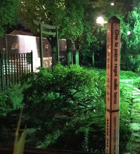 Meet your Posher, Tomas